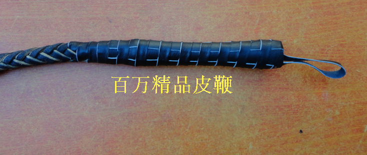 Article équitation - Ref 1380979 Image 15