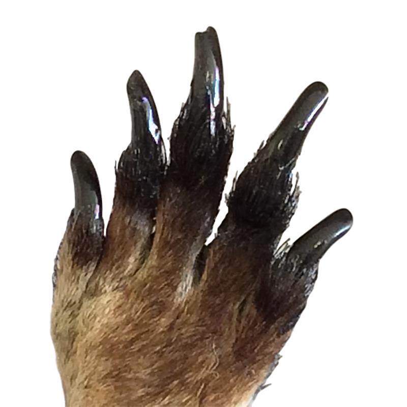 Kangaroo Paw Fridge Magnet Australian Fridge Magnet Pure Handmade Australian Tourist Souvenir Kangaroo Products