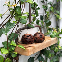 Australia imports diffuser wood Banksia Banksia banke wood mountain longan fruit aromatherapy bottle handmade natural aromatherapy base