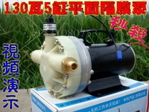12V24V48V High Pressure Dosing Machine Agricultural Electric Sprayer Garden Water Pumping Irrigation 5 Cylinder High Pressure Diaphragm Water Pump