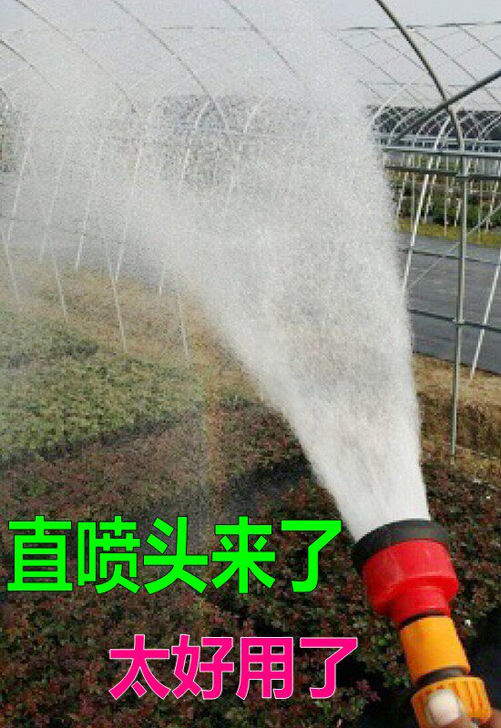 直喷头1000目园艺花洒小苗浇水花卉园林洒水器长杆喷水枪大棚育苗