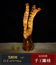 Fortune tree Money tree root carving ornaments Root carving wood carving characters Home living room ornaments Crafts