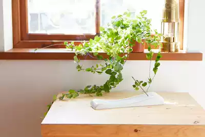 Taiwan's Dianya Collection of Bafang Ruyi