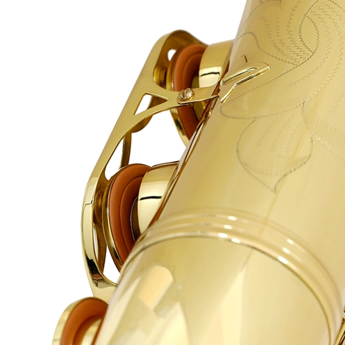 Германия Кар-Воз Дж.К. Кейлверт ставки на B-конце ST-110 Saxa Karlworth