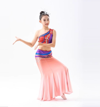 Dai ethnic minority dance performance clothing practice skirt girls peacock dance performance clothing hip-covering skirt art test practice clothing