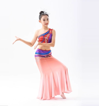 Dai Ethnic Minority Dance Performance Dress Practice Skirt Girl Peacock Dance Performance Wear and Hip Skirt Art practice Gongfu