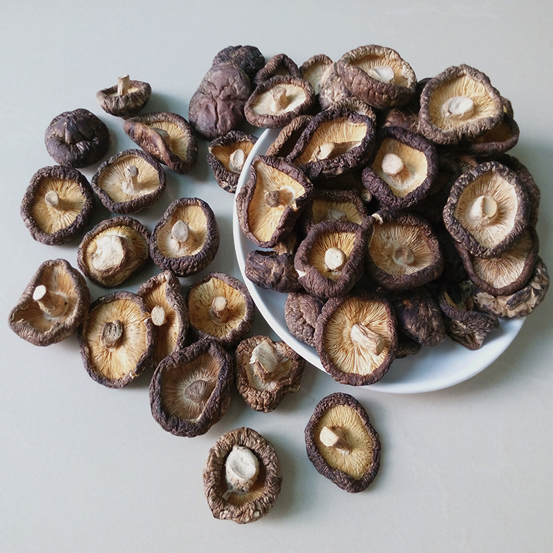 Fujian Sanming Farmhouse Linden Wood Self-produced Without Foot Fresh Mushrooms Dry Goods 500g