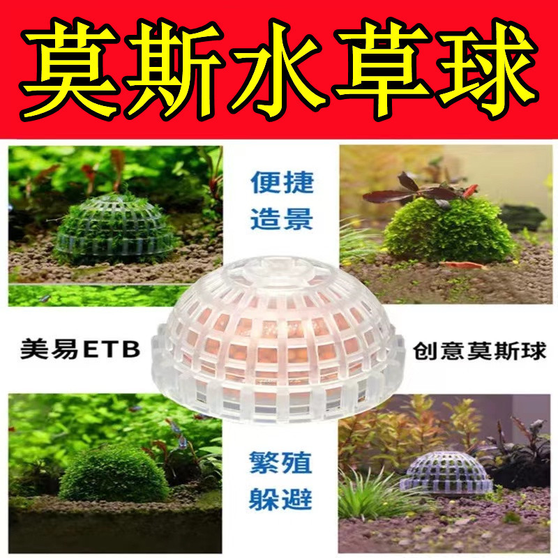 Moss Planting Balls, Aquatic Plant Balls, Suspended Moss Balls, Meifeng Moss Half-Spheres, Moss Aquatic Plants, Bulk Moss Aquatic Plants