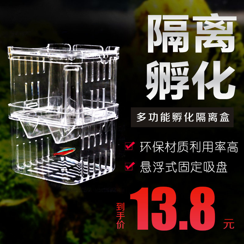 Tropical Fish Ornamental Fish Bullfish Peacock Fish Isolation Box Breeding Box Small Fish Spawning Incubation Room Suspended Wall-hanging