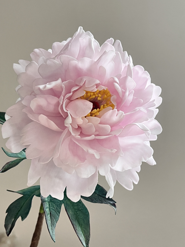 Peony Flower Stem Is 30cm by Default, Flower Head Size Is Approximately 15cm+ Peony Flower Stem Is 30cm by Default, Flower Head Size Is Approximately 15cm+