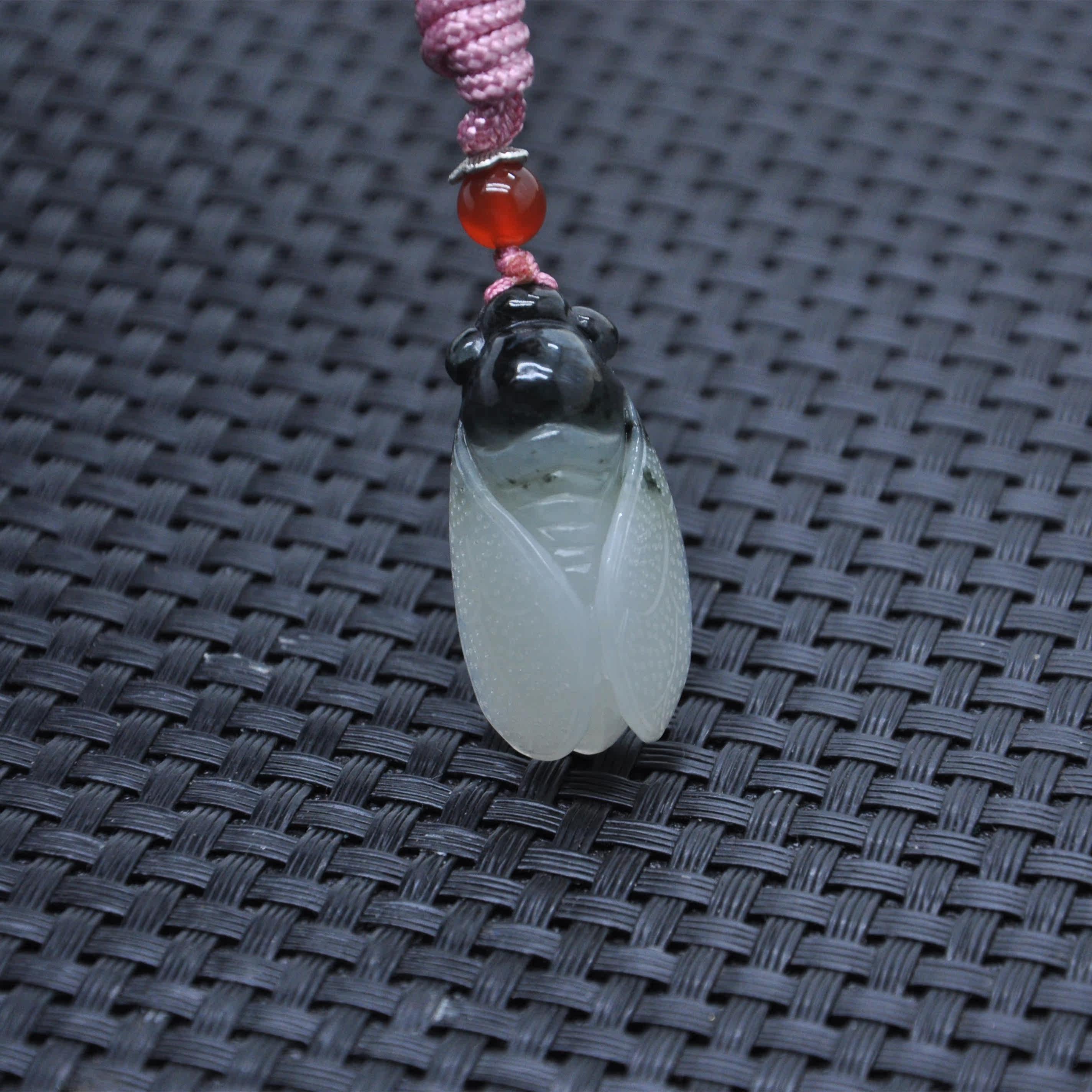 Nanyang jade Dushan jade ice permeable black and white single jade jade cicada knows the golden toad pendant pendant pretty color ingenious carving jade pendant