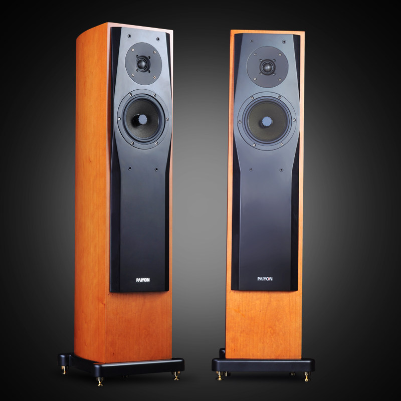 PAIYON P728 fever hi-end landing main speaker hi-fi home theater ETON flagship