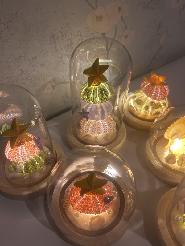 Shell Lamp Night Light DIY Sea Urchin Shell Night Light ins Lamp Mushroom Lamp Handmade Gift for Best Friend or Girlfriend Shell Lamp Night Light DIY Sea Urchin Shell Night Light ins Lamp Mushroom Lamp Handmade Gift for Best Friend or Girlfriend