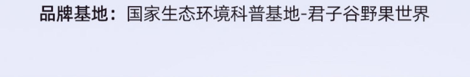 野果世界_低度起泡酒饮料组合微醺高颜值