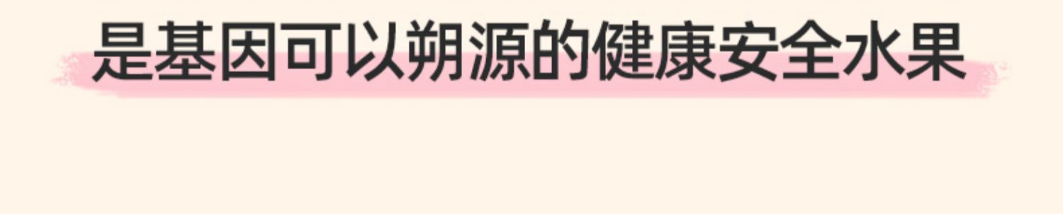 晚安葡萄酒水果微醺气泡酒果味酒