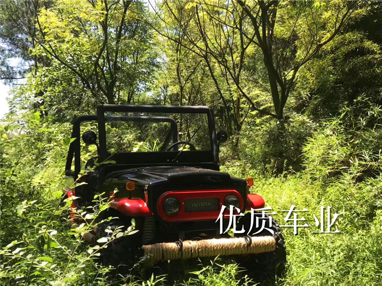 300CC làm mát bằng nước chuyển đổi ATV bốn bánh off-road xe máy núi lớn Jeep tấn công kart UTV