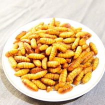 Golden Silk Silkworm Pupa Live Fresh Special Grade Small Cocoon Pupa Pupa Pupa Larvae Larvae Shandong locusts frozen