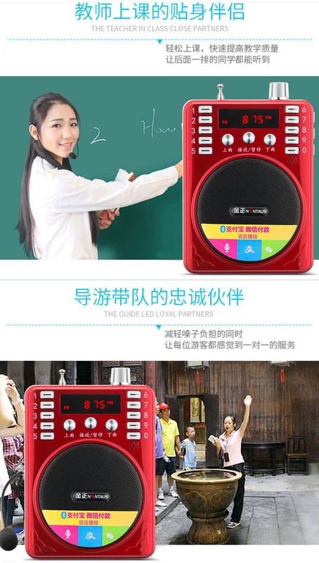 Jinzheng 207BT Bluetooth radio mini card âm thanh loa nhỏ máy nghe nhạc cầm tay Walkman - Máy nghe nhạc mp3