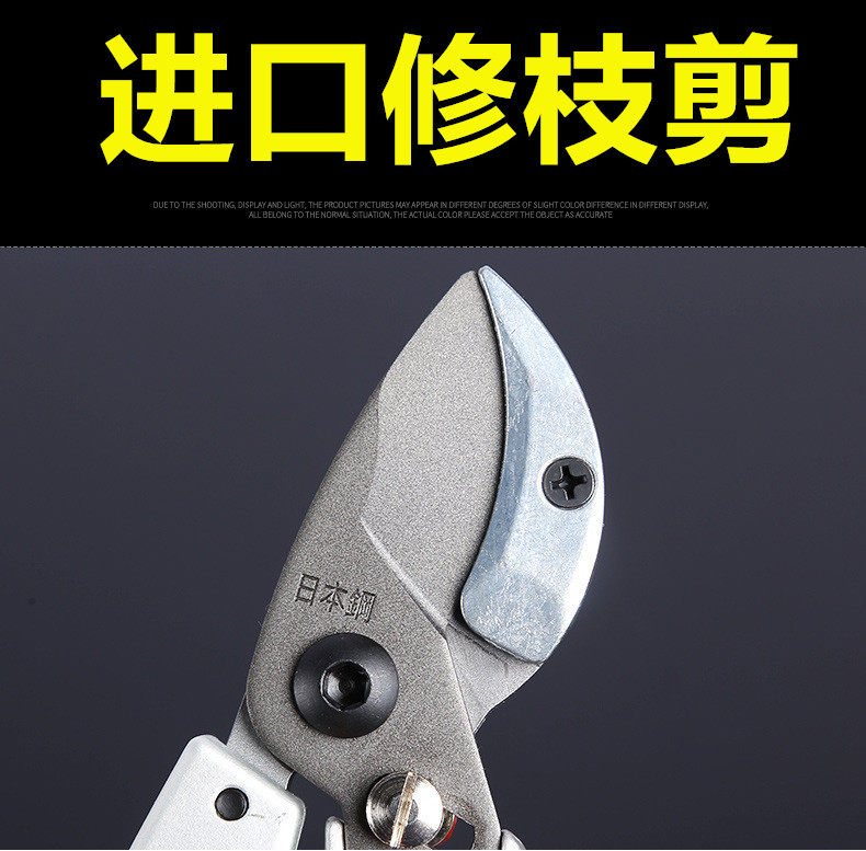 Sagawa Tian 828 imported branch pruning shears fruit branch shears gardening pruning pruning shears garden scissors garden shears