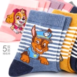 Детские носки для мальчиков, осенние тонкие зимние хлопковые гольфы, средней длины