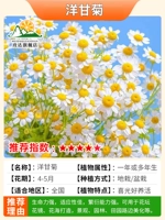 1000 грамммомиомии с удобрениями+порошок корня