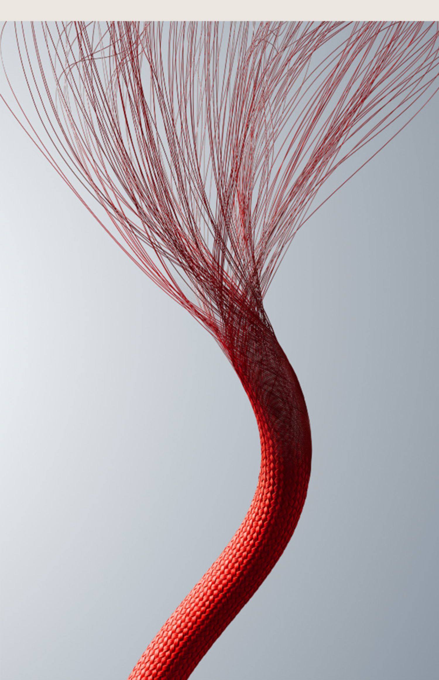 Beats USB-A 转 USB-C 编织连接线数据线充电线插图5