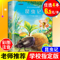 Genuine Fabre insect note phonetic beauty painting version of primary school students first grade grade two grade three second volume extracurricular reading compulsory books 6-7-8-9-10-12-year-old childrens books World Classics