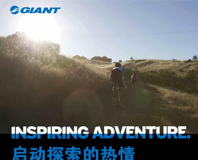 Selle de vélo GIANT - Ref 2351473 Image 6