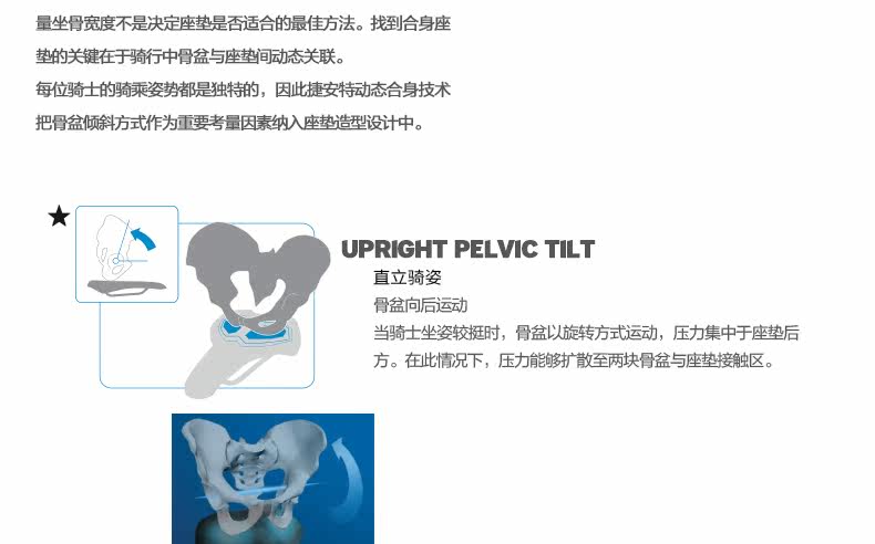 Selle de vélo GIANT - Ref 2351201 Image 15