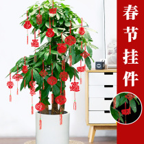 Bonsai pendant pendant shopping mall Scene arrangement New Chinese New Year decorations Indoor money Tree Fat Property Tree Spring Festival New Years Day New Years Day
