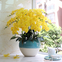 High-end simulated Phalaenopsis decorative flowers large plastic flowers living room green plants porch glue flowers artificial flower ornaments moisturizing