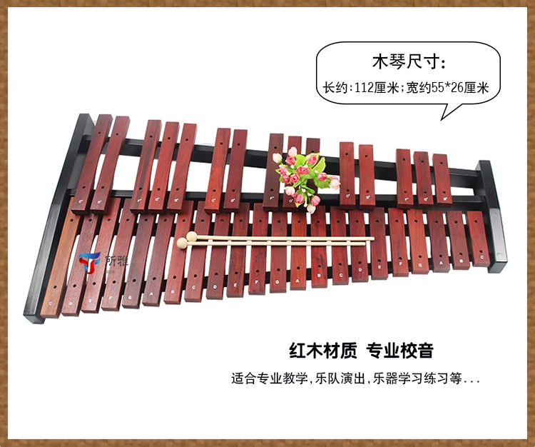 Authentic 37-gogophone xylophone gõ đàn piano gói quà tặng Orff bộ gõ dạy piano đứng chuyên dụng - Nhạc cụ phương Tây kèn tàu