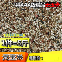 AAA grade pigeon food Corn-free young pigeon feed Bird food Carrier pigeon ornamental pigeon meat Pigeon food health sand young pigeon food