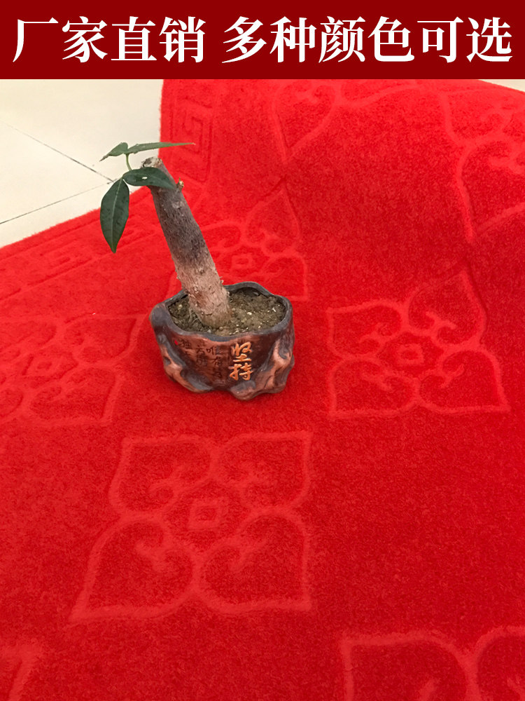 Special offer welcome to suede rubbing soil embossing door stairs non-slip water-absorbing floor mat for entering and exiting safe carpet