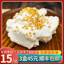 Inner Mongolia specialty fresh cheese Herdsman handmade dairy products Ready-to-eat snack food No added cream