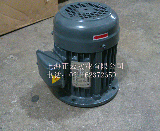 Hydraulic motor upright motor 1HP 0 75KW