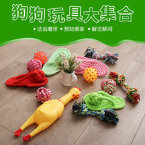 Pet dog dog toy molars bite-resistant golden retriever puppy puppy puppy miserably screaming chicken vocal dog toy ball supplies