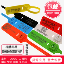 Disposable plastic seal Nylon cable tie Logistics label Anti-theft label tag Anti-transfer bag anti-counterfeiting seal buckle