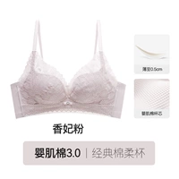 【Mimosi Lace】 Xiangfei Fan