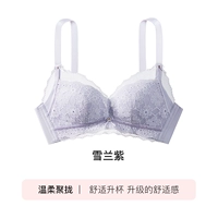 [Маленькое кружево сакуры] Снежный синий фиолетовый