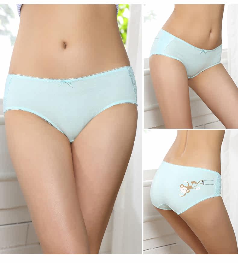 Slip 2K6501 en coton - Ref 668267 Image 15