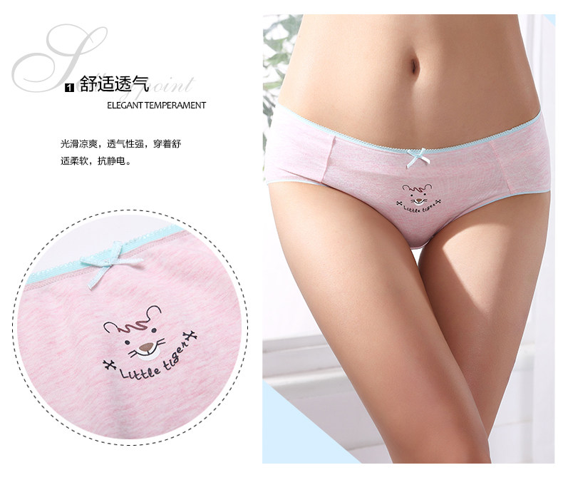 Slip jeunesse 2K6309 en coton - Ref 668275 Image 8