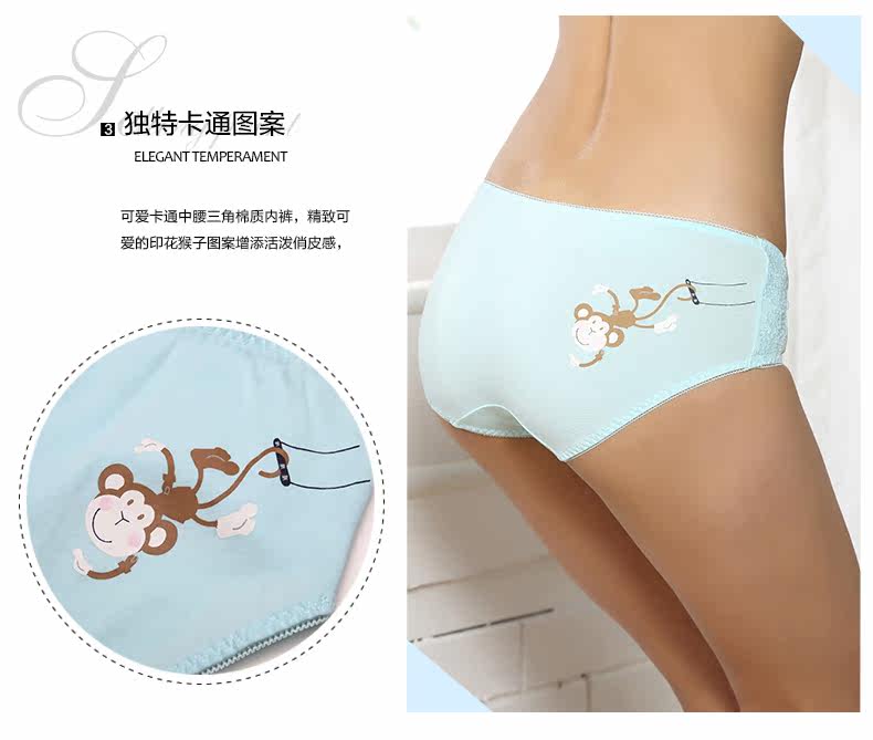 Slip 2K6501 en coton - Ref 668267 Image 9