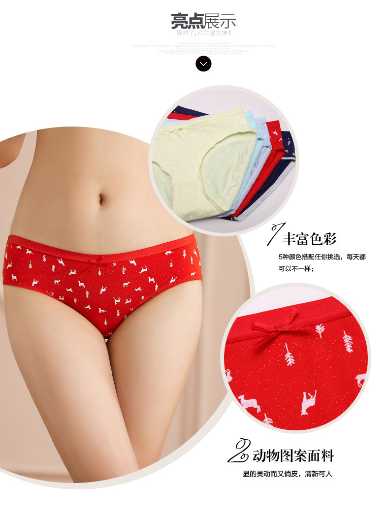 Slip jeunesse 2K6343 en autre - Ref 668244 Image 7