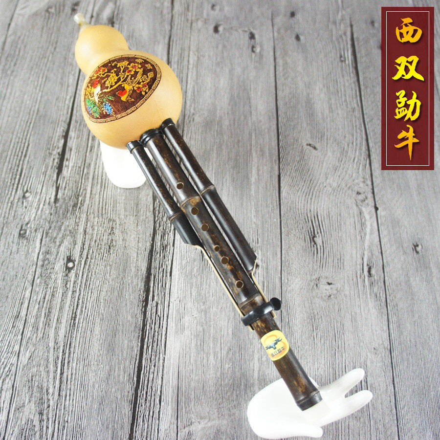 Students' beginnics Huluth practice type cucutrient price cucurbituris C tone as main west double Mengniu