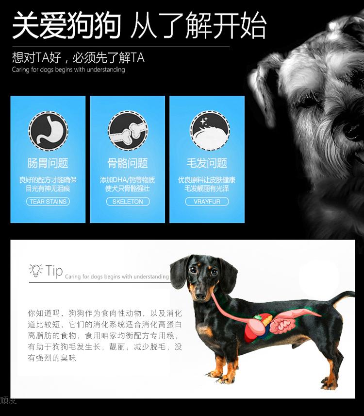 Chó Golden Retriever chó trưởng thành thức ăn cho chó thức ăn cho chó thời gian thức ăn cho chó 20 kg phổ 10kg - Chó Staples thức ăn cho chó