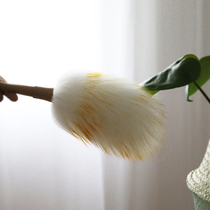 Dust duster household wool duster mini beech handle wool table bookshelf dust duster