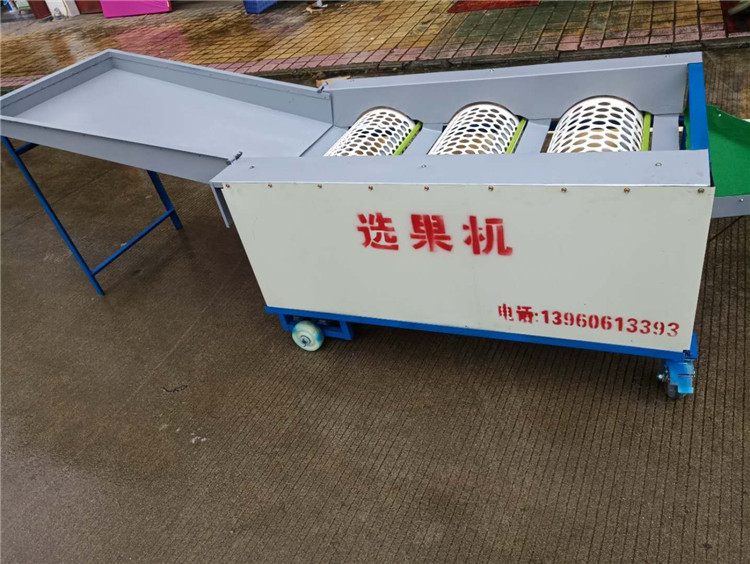 Citrus fruit sorting machine - small green orange sorting machine - aloe orange - emperor orange - navel orange - orange - sorting machine - classifier