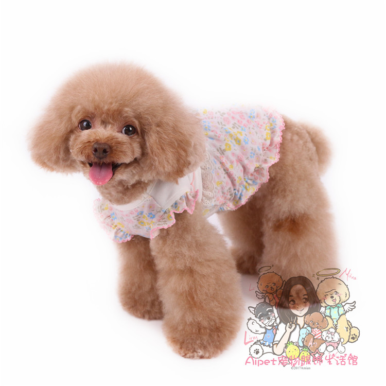 Chỉ thị trấn thú cưng 2019 mùa xuân và mùa hè quần áo thú cưng cotton thêu hoa búp bê váy con chó quần áo thú cưng - Quần áo & phụ kiện thú cưng 	áo dành cho mèo con	