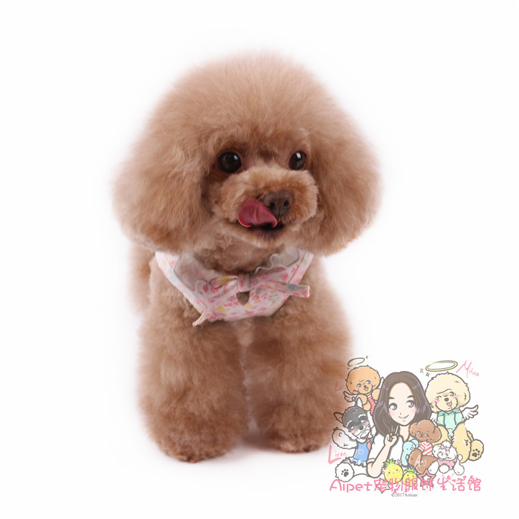 Chỉ dành cho thú cưng thị trấn thú cưng 2019 mùa xuân và hè quần áo cotton thêu hoa voan váy quần áo cho chó - Quần áo & phụ kiện thú cưng mua áo cho chó